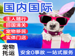 海北祁连国际宠物托运 【国
